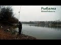 Рыбалка на фидер в декабре. Москва-река, Жуковский.