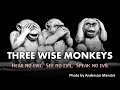 The three wise monkeys hear no evil see no evil speak no evil