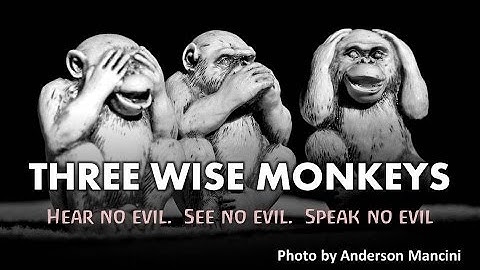 The Three Wise Monkeys (Hear no evil, See no evil, Speak no evil)
