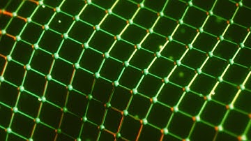 Abstract mesh with wave motion green net | Dynamic Line Wave Seamless background loop | ASHI-VFX