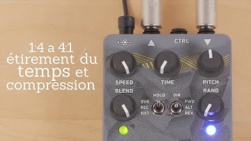 Red Panda Tensor - Une introduction rapide