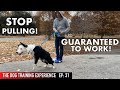 The MOST REALISTIC Leash Dog Training Lesson EVER! STOP PULLING!