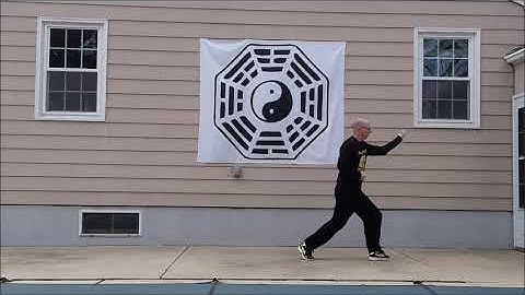 Xing Yi Quan 5 Elements Comparison - Hebei Vs Shanxi (Che Branch)