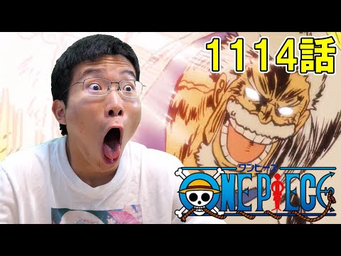 ONE PIECE 第1114話『愛弟子のため ガープ中将の拳骨!』【初見リアクション】ONE PIECE Episode 1114 Reaction