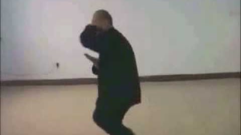 Cheng bagua 8 major palms