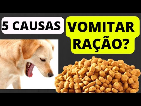 Vídeo: Home remédios para Dog Odor