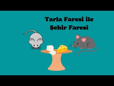 Tarla Faresi ile Şehir Faresi | ÇOCUK HİKAYELERİ/ MASALLARI