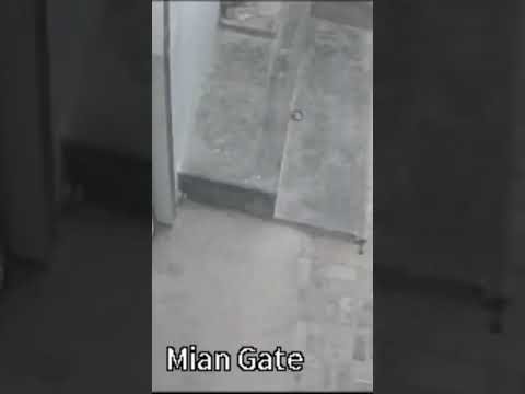 Bichara Bacha #funny #shorts #haighlight #everyone