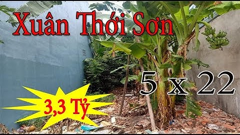 Đất Xuân Thới Sơn Hóc Môn 3,3 Tỷ | Nhà Đất Hóc Môn 2021