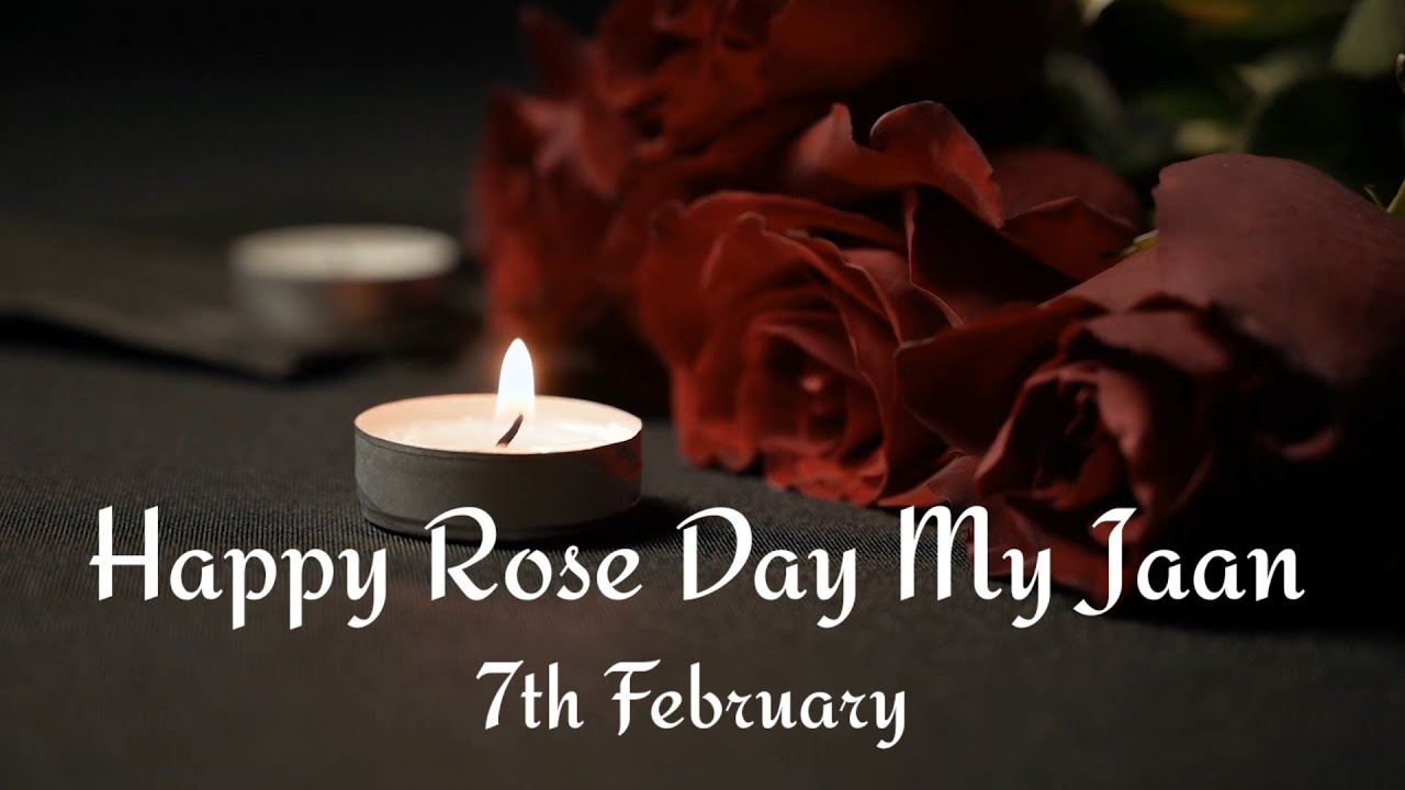 Rose day Status || 7 February || Rose day Poetry || Valentine's Week ...