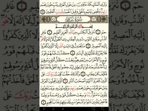 ماهر المعيقلي سورة غافر مكتوبة صفحة 467 ثلاثة أرباعها و صفحة 468 مصحف المدينة المنورة جودة عالية