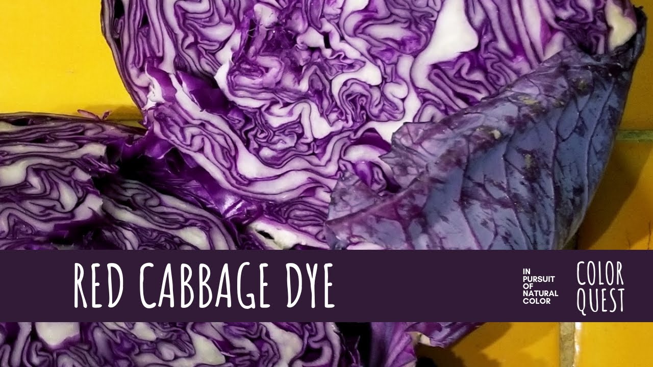 HOW TO MAKE NATURAL DYE WITH RED CABBAGE ORGANIC COLOR PURPLE YouTube