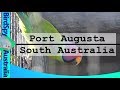 Port Augusta Aviary Visit | BirdSpyAus