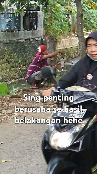 Trik menangkap burung Merpati bandangan #viral #katakatabijak #sukses
