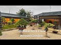 Uchiku-tei S-Cube Bonsai Garden. Japan. Бонсай. Япония #бонсай #bonsai