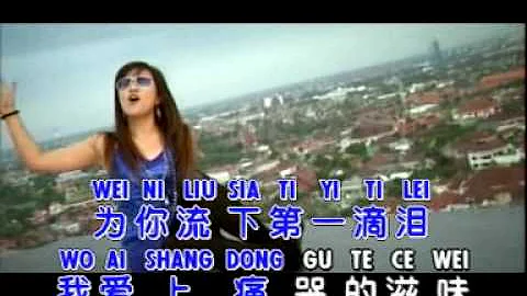 DI YI DI LEI 第一滴泪 - Huang Jia Jia 黄佳佳