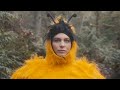 The Head and the Heart - "Honeybee" Official Music Video