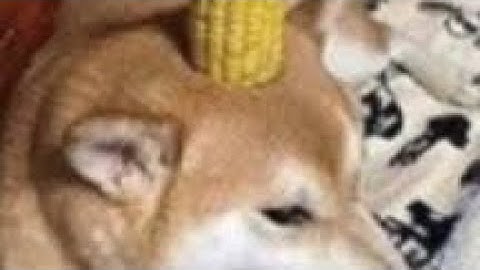 NCS Gauntlet Entry preview 1 | Geometry Dash