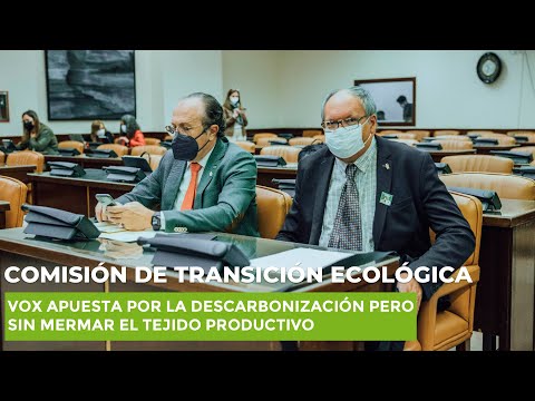 VOX apuesta por la descarbonización pero sin mermar el tejido productivo