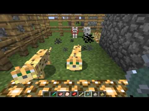 Oswajanie ocelota w Minecraft - Wskazówki - 2023