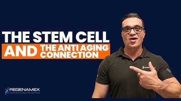 The Connection Between Stem Cell Therapy and Anti-Aging: Can It Really Reverse the Clock?
