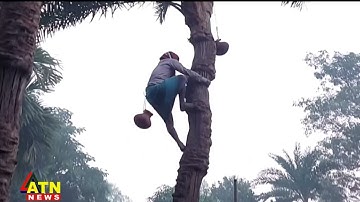 দ্রুত ছড়াচ্ছে নিপাহ ভাইরাসের সংক্রমণ | Nipah virus Spreading | ATN News