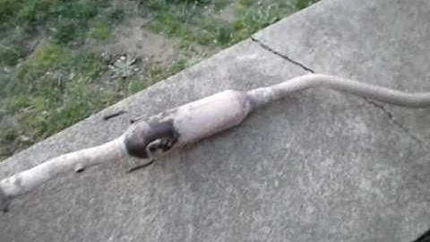 2002 Celica: The joy of the catalytic converter