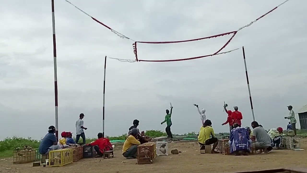 PARA PECINTA BURUNG MERPATI HARI INI SEMAKIN SENANG DI LAPAK GARUDA SAKTI SEMAKIN JOS !!