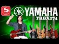 Бас-гитара YAMAHA TRBX174EW - гитара с верхней декой из дерева манго (Eye of the tiger bass cover)