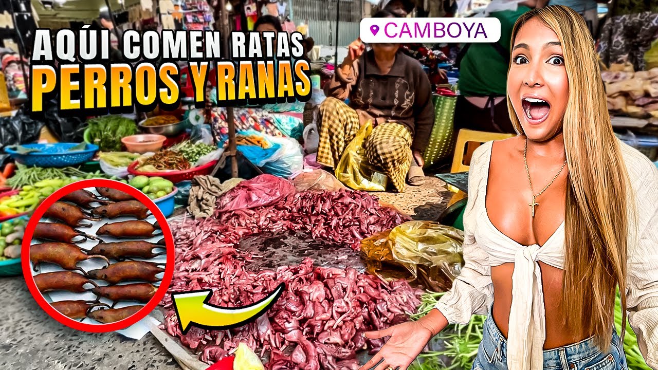 ⁣El país donde COMEN MURCIÉLAGOS 😱 CAMBOYA / Angkor Wat