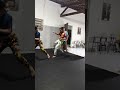 Treino
