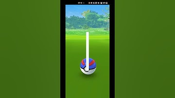 I finally caught a SHINY Galarian Zigzagoon after 300+ encounters!