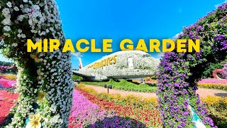 Dubai Miracle Garden 2024 🌸 The most beautiful natural flower garden in the world - 4K HDR