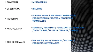 ¿Qué significa bienes de cambio?