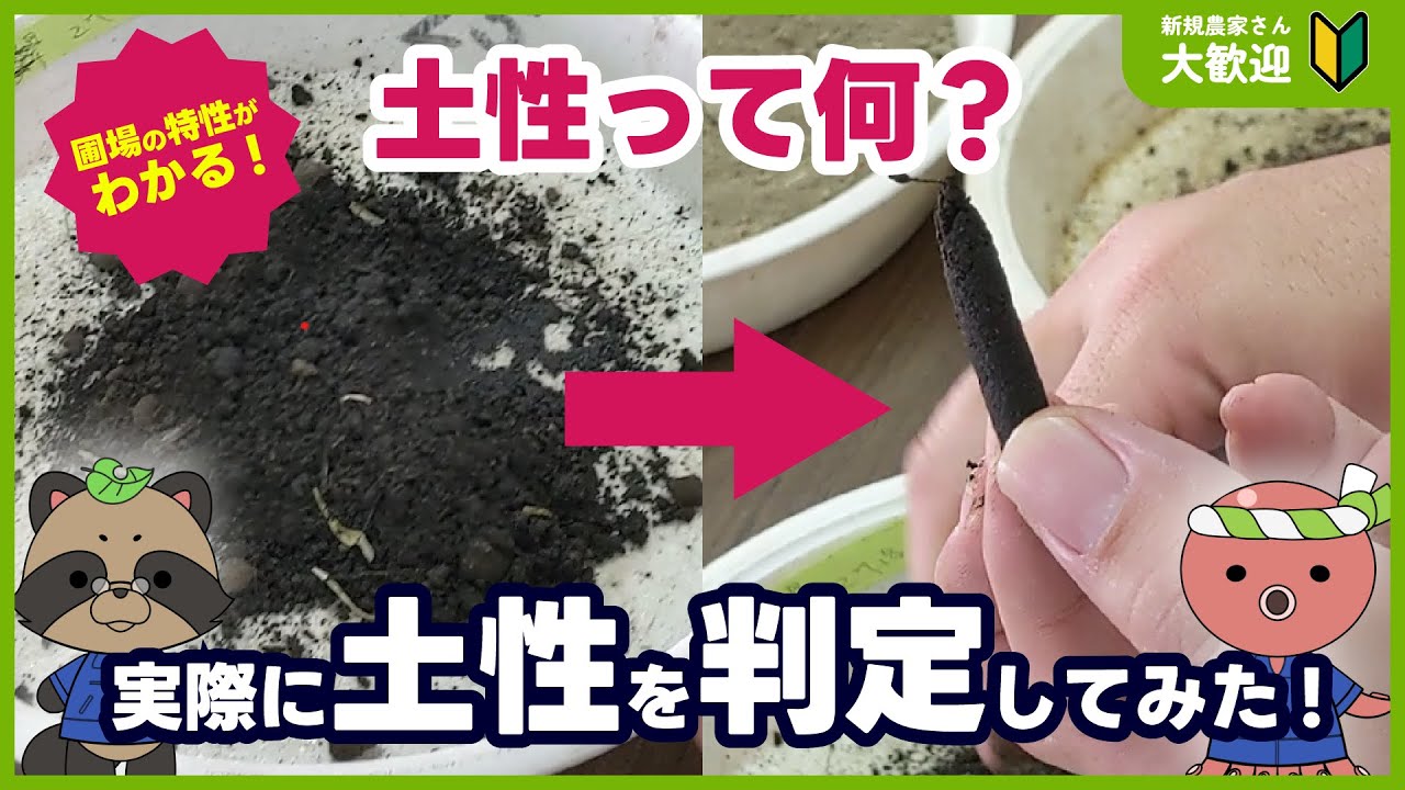 日本農学会法 土性判定 | 包括的土壌分類第1次試案に基づいた1/20万日本土壌図 – IFDSV
