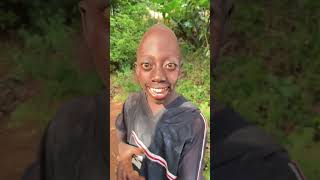 Denge Denge Boy Grup