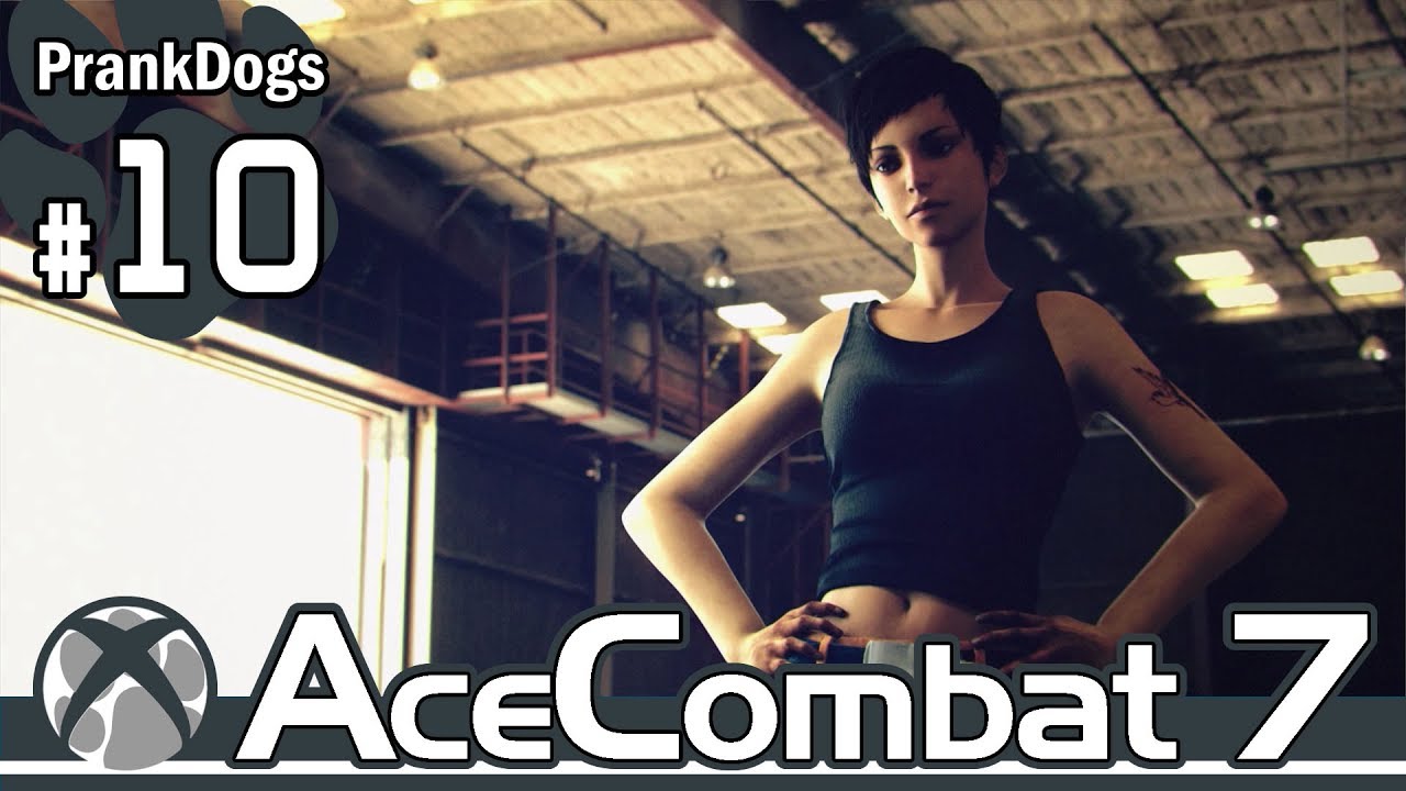 #10【Ace Combat 7】難しすぎやしないかい?【大型犬の実況】 ゲームカタログ