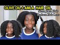 How to Use Olive Oil and Amla Powder For Hair Loss and Scalp | DiscoveringNatural