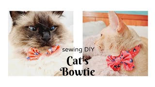 Sewing DIY Cat's Bowtie Collar; 냥이 보타이 만들기