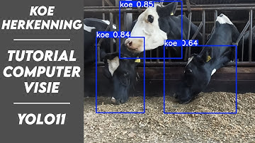 Tutorial Computervisie: Objectherkenning met YOLOv11 (Gratis!)