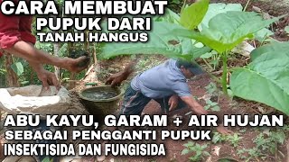 UDAH #TAU BELUM⁉️CARA MEMBUAT PUPUK DARI ABU KAYU, TANAH HANGUS   GARAM   AIR HUJAN, BEGINI CARANYA