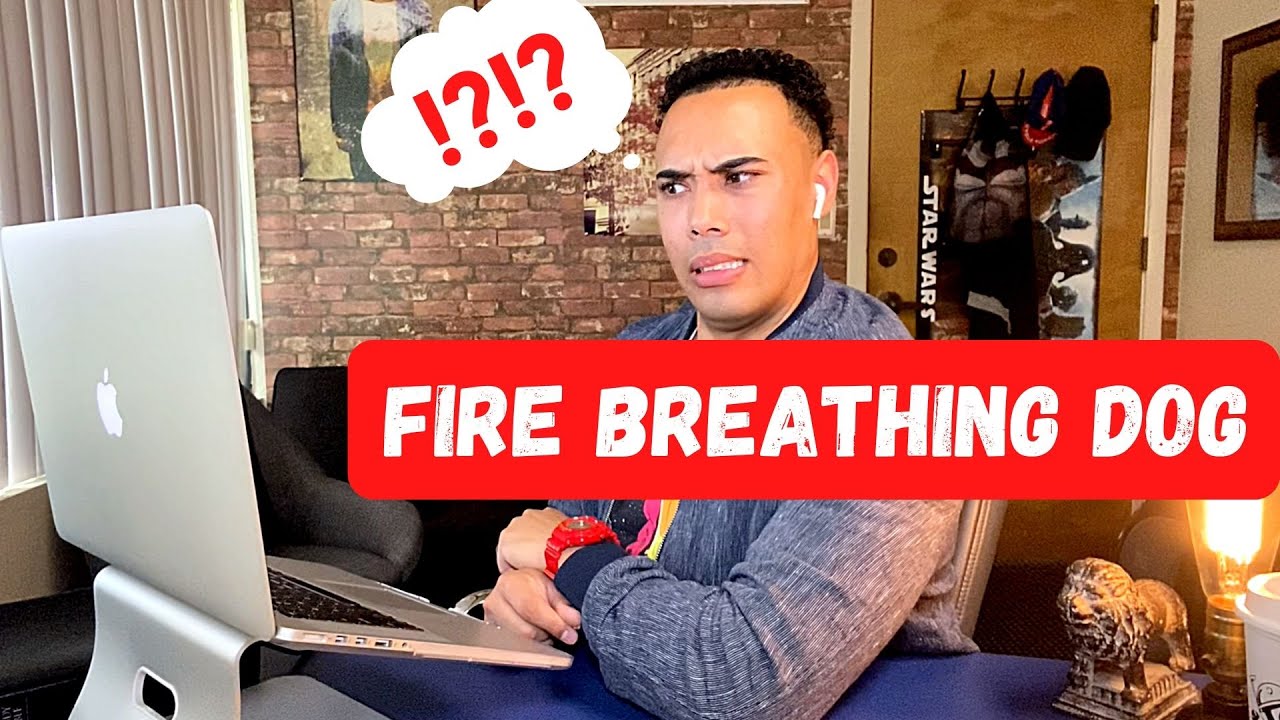 Zoom In Challenge - YouTube