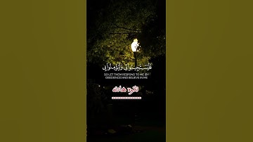 اكتب شيئ تؤجر عليه 🤍#القرآن_الكريم #تلاوة_خاشعة #راحة_نفسية #اكسبلور_explore