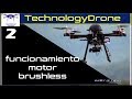 curso de drones (# 2 como funciona los motores brushless) | editronikx