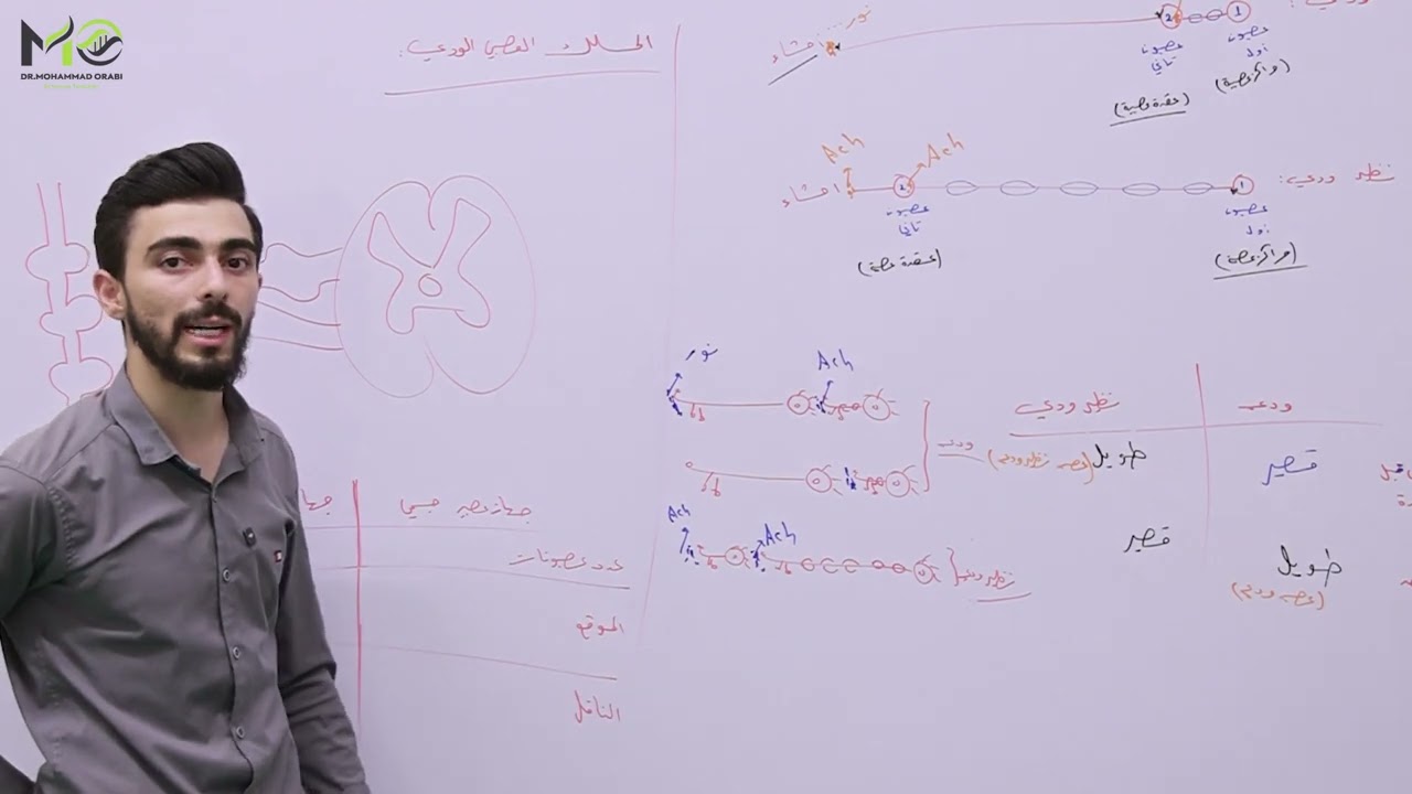 الدرس الثالث عصبية (القسم الثاني والأخير)
