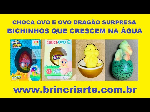 Ovos de Dragão em COQUINHOS