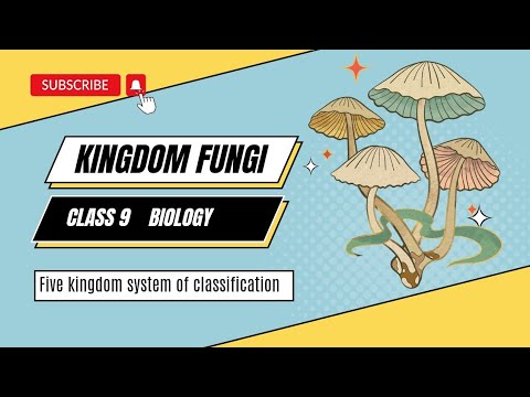 Kingdom Fungi Class 9 Structure Of Fungi Biology Unit 3 Kpk Board Biodiversity