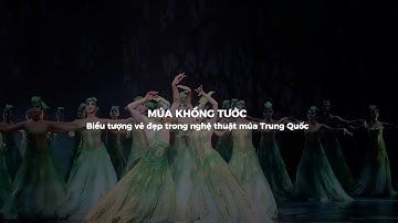 🕊️ "KHỔNG TƯỚC" (孔雀) - TUYỆT TÁC VŨ ĐẠO THỨC TỈNH TÂM HỒN CỦA HUYỀN THOẠI DƯƠNG LỆ BÌNH 🕊️