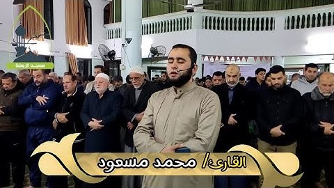 صلاة التراويح للقارئ محمد مسعود - مسجد الروضة رمضان 2023م