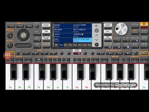 المزمار البلدي الجبار